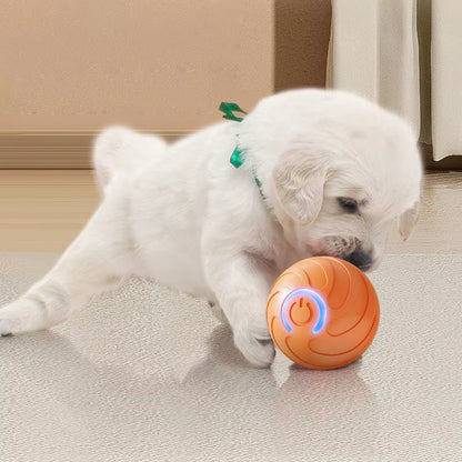 Smart Pet Toys Ball Electric Automatic Jumping Rolling Ball Interactive Game Rechargeable Moving Puppy Kitty Entertainment Toy
