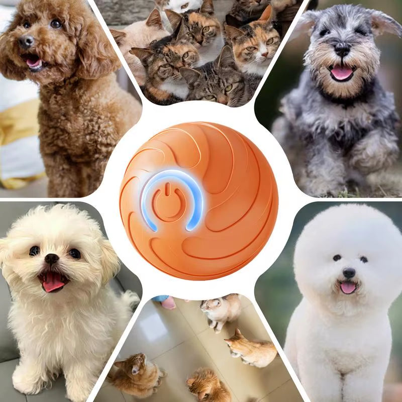 Smart Pet Toys Ball Electric Automatic Jumping Rolling Ball Interactive Game Rechargeable Moving Puppy Kitty Entertainment Toy